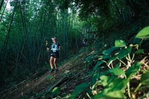 BIB: 
                            <button type="button" onclick="openModal(28124474)" class="btn btn-primary btn-sm float-right btn-popup" data-toggle="modal" data-target=".modal-high-quality">
                        <i class="fas fa-shopping-cart"></i> Add to Cart
                    </button>
                                            <button type="button" onclick="isThisMe(28124474, true)" class="btn btn-success btn-sm float-right btn-popup btn-isme hidden" data-toggle="tooltip" data-placement="bottom" title="นี่คือรูปของคุณใช่ไหม คลิกที่นี่เพื่อเอาเข้าอัลบั้ม">
                        <i class="fas fa-plus"></i> Add to album
                    </button>
                    <button type="button" onclick="isThisMe(28124474, false)" class="btn btn-warning btn-sm float-right btn-popup btn-isnotme hidden">
                        <i class="fas fa-ban"></i> Remove from album
                    </button>